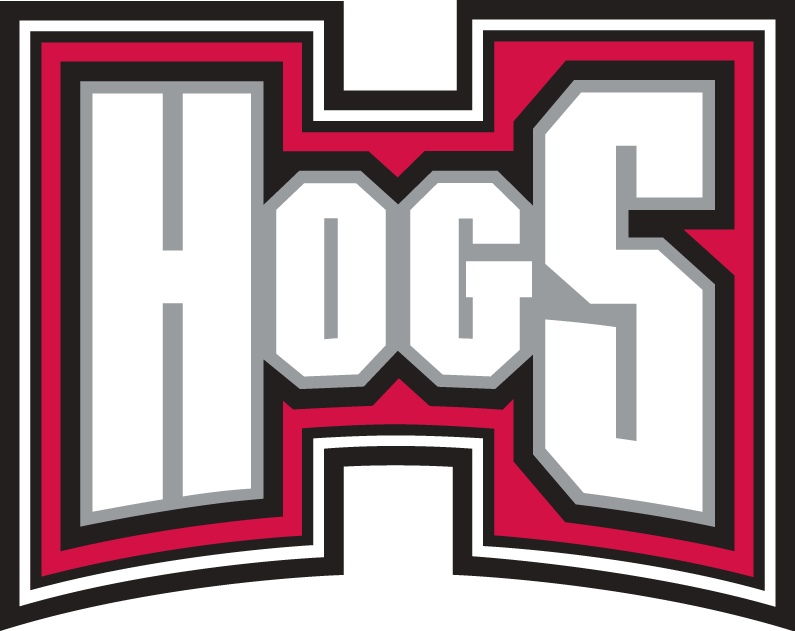 Arkansas Razorbacks 2001-2008 Wordmark Logo v2 iron on transfers for T-shirts